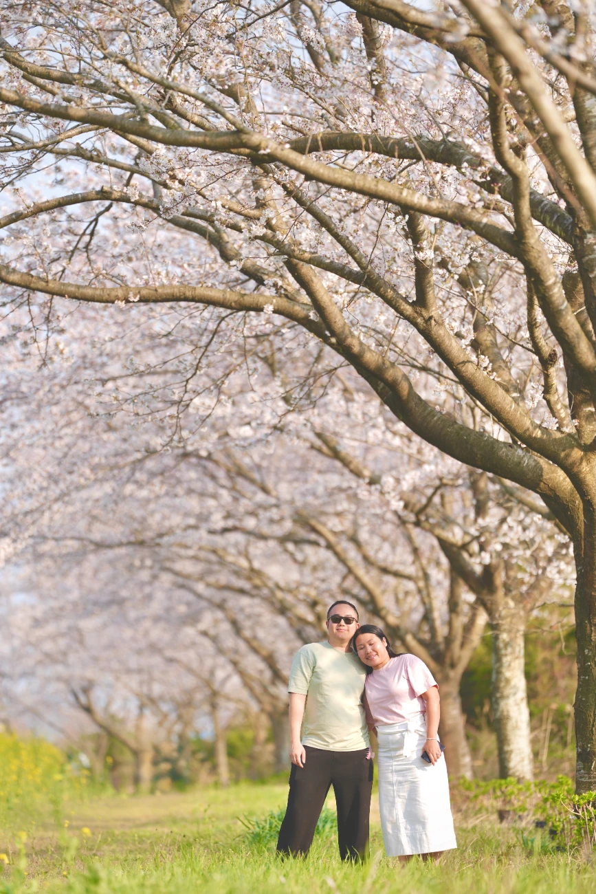 Couple under cherry blossoms